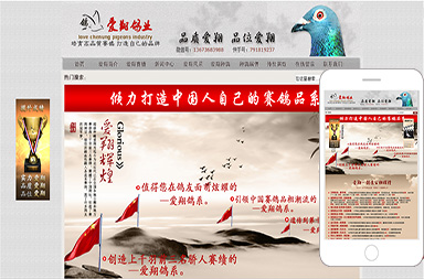 愛翔鴿業