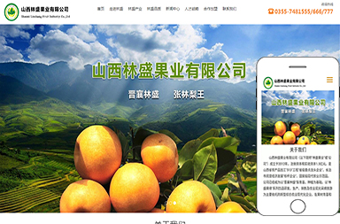 山西林盛果業
