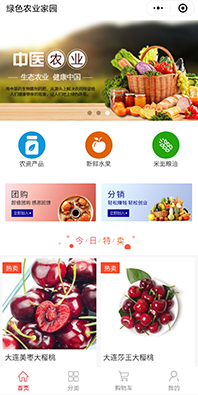 團購分銷商城小程序開發(fā)