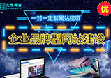 專業的網站建設公司怎么選？